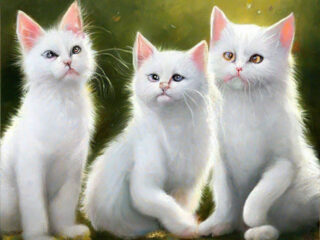 Три белых кота