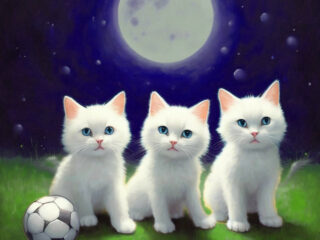 Три кота, футбольный мяч, Луна